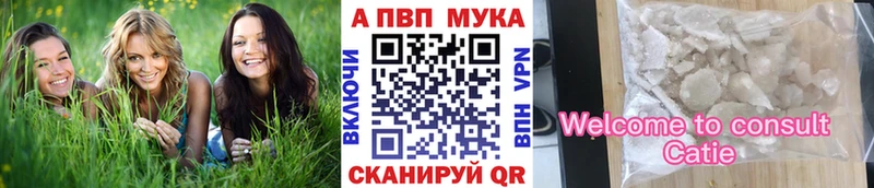 мега рабочий сайт  Покачи  Alfa_PVP крисы CK 
