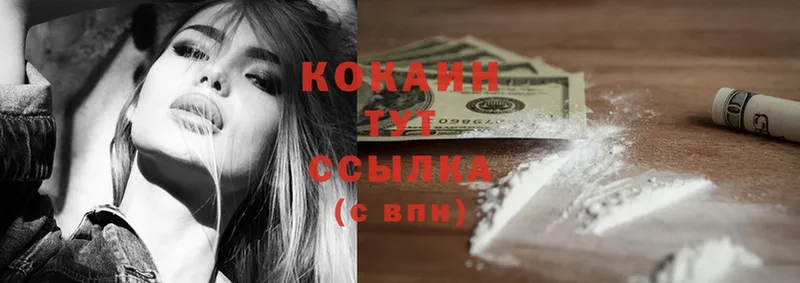 COCAIN Columbia Покачи