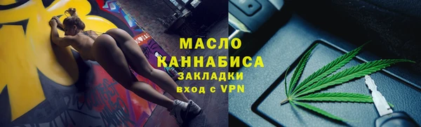дмт Переславль-Залесский