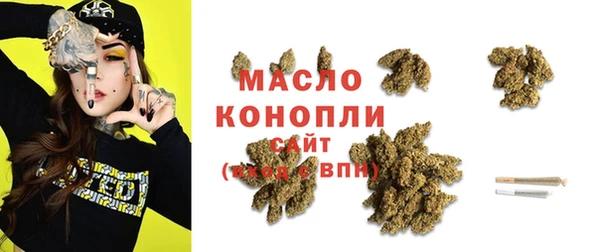 дмт Переславль-Залесский