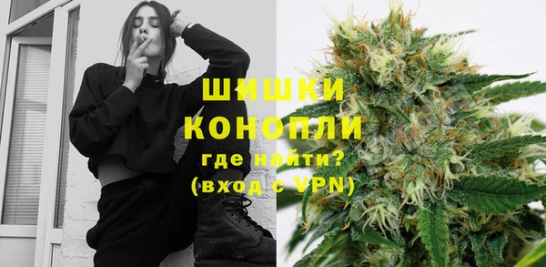 дмт Переславль-Залесский