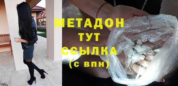прущие грибы Осташков