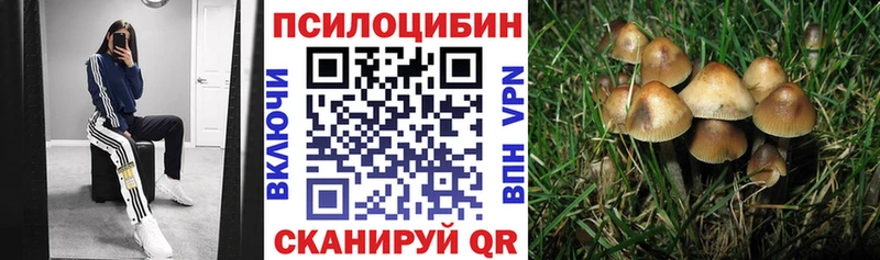 Псилоцибиновые грибы Psilocybine cubensis  Покачи 